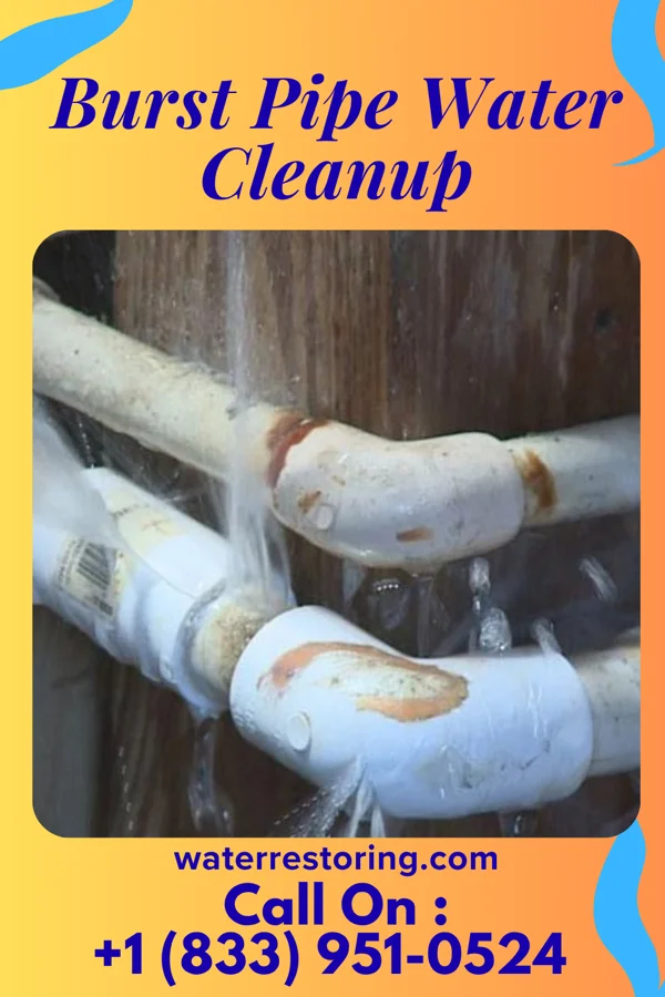 Burst Pipe Water Cleanup in Northville, NY